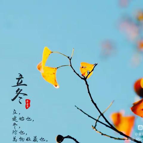 “家校共携手 一起护花开” 单县一中附属小学四年级线上升旗仪式