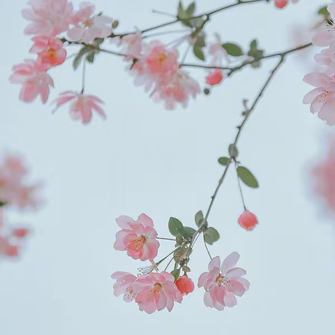 “规范写字✍🏻写漂亮字”——单县一中附属学校小学四年级写字比赛🏆