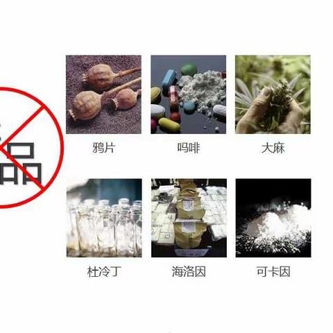 临沂市工程学校—珍爱生命 远离毒品主题教育