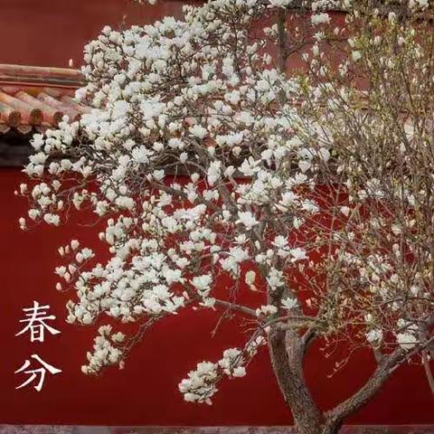 南和二中  传统文化 之 春分节气