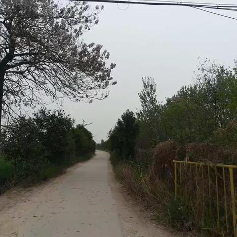 雨金街办铁腕治霾日常纪实
