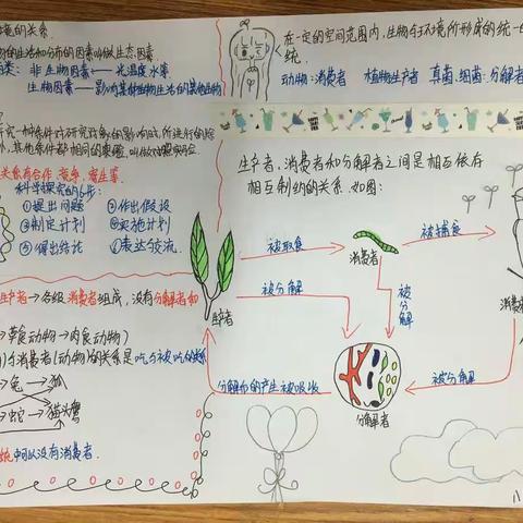 七年级生物思维导图设计活动