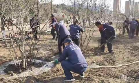 提升园林绿化水平 打造宜居城市环境