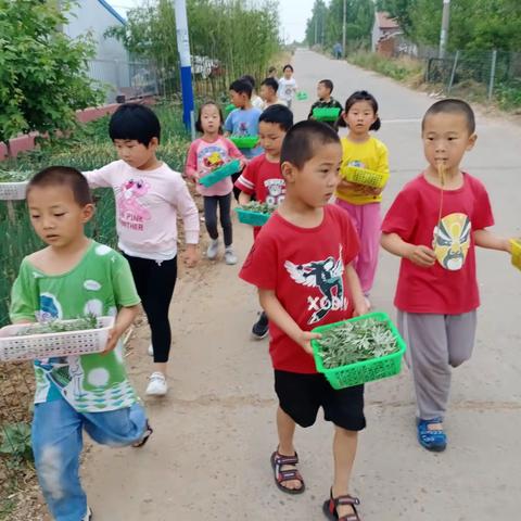 2021端午活动可以保存的照片