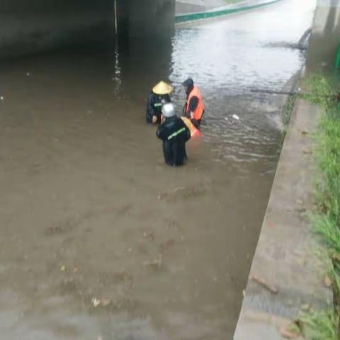 这是您想象中的环卫工吗？