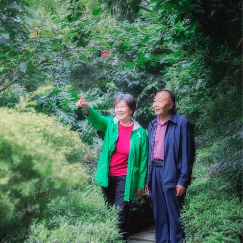 献给父母的《十月记忆》