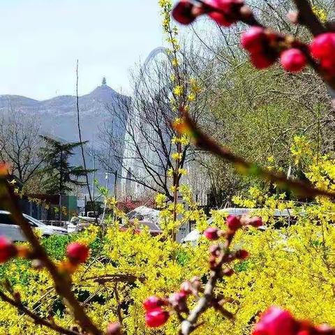 不负韶华 ，不负春光—访仙中心小学一（1）班四月班级美篇