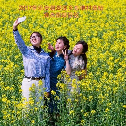 乐安县高标准农田助力乡村振兴