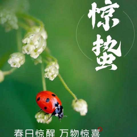 惊蛰到 万物苏——川幼春晖仙海中心幼儿园惊蛰