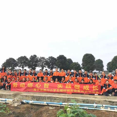 春光明媚正当学 劳动教育收获多 ——南宁市清川小学五（6）班沉浸式体验活动