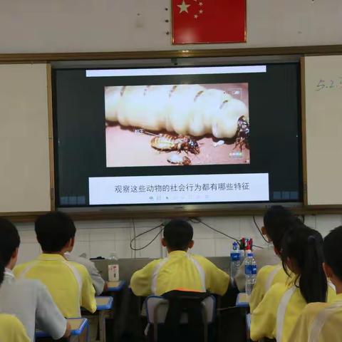 “生生”不息，分工合作——八年级生物展示课活动