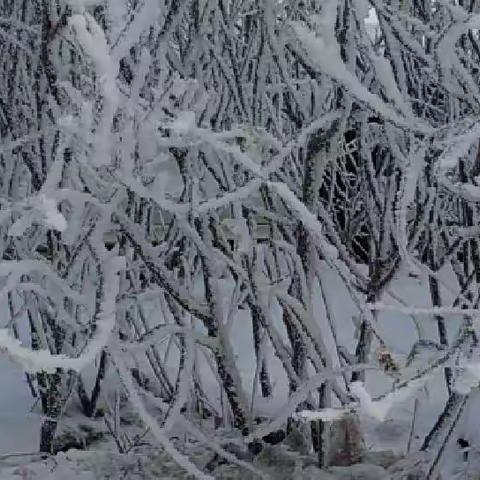 乐享冰雪，健康寒假———西城镇中心小学