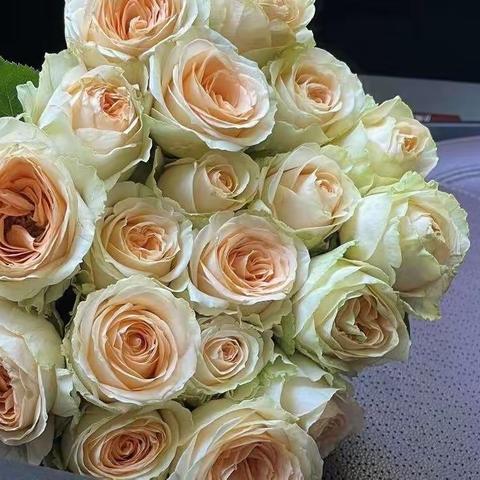 生活已经够累了，如果爱不能给人力量反而产生消耗，那爱的意义又是什么呢？希望我们都是走向幸福的人