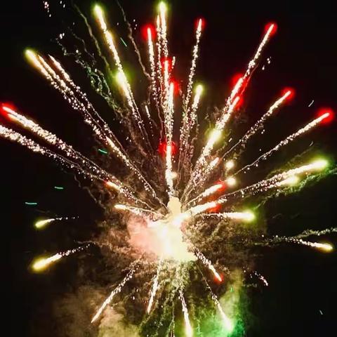 新年，以平安为底，以喜乐启程，健康又美丽，才是一生追求…