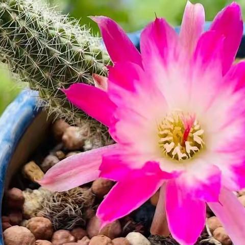 生活中，总会有许多平凡却治愈人的瞬间。