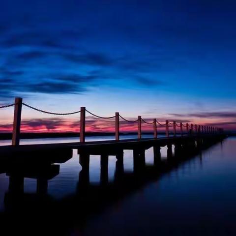 人类的悲哀并不相通，但是，在同一个红尘之下，我们都历经过悲伤、痛苦、歇斯底里、孤独无助，如此不同，又如此相似