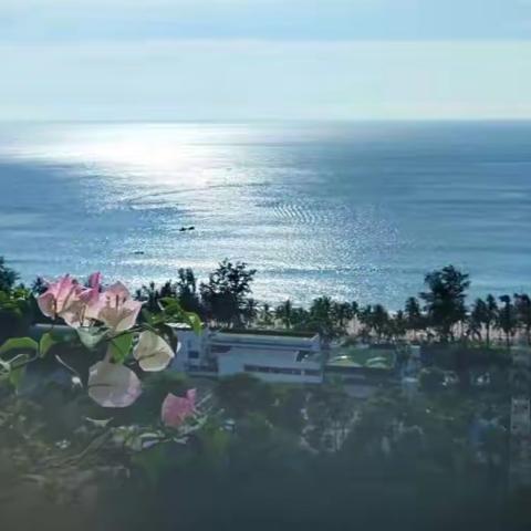 心若向阳花自开，人若向暖清风来！幸福没有标准答案，人不需要活出太多样子，不管岁月奈我何，我心依旧少女心！