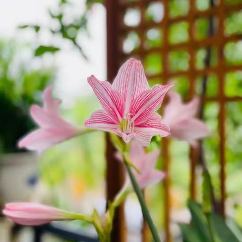 你对‭‮活生‬‬心平气和‭‮活生‬‬才会对你和颜悦色