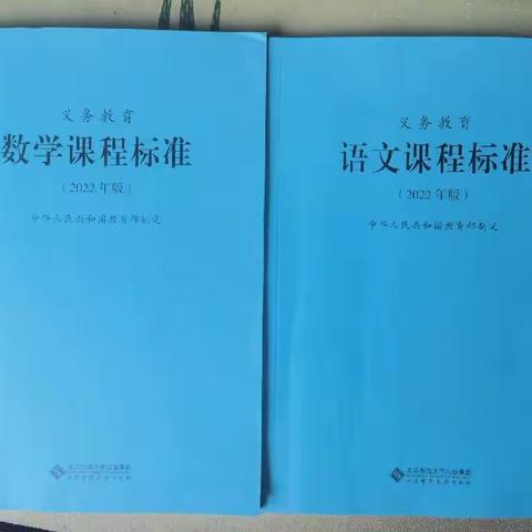 课标引领明方向，且学且思共成长—长凝镇语文、数学新课标培训纪实