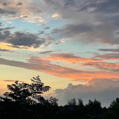 停课不停学，网课展风采-孙店镇中心小学四二班网课纪实