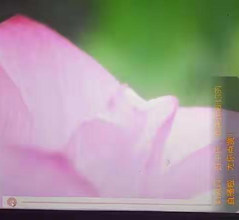 停课不停学，学习不止步——蔡寨寺后郭小学线上教学纪实
