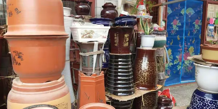 花盆批发店