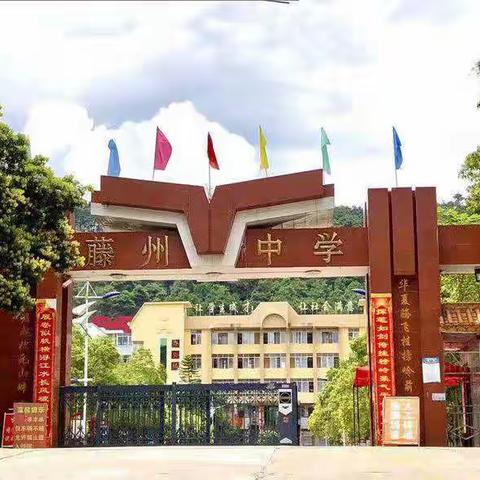 有的放矢，方能远行——藤县藤州中学体育中考模拟考试裁判培训会议