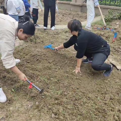 ＂我是小菜农＂中二班蔬菜种植记