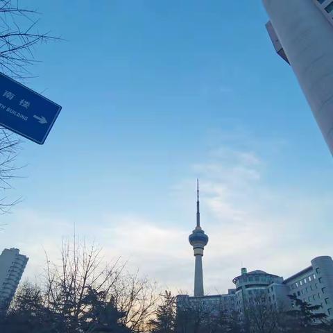 Covid咨询日记（九）：老人重症感染四步曲