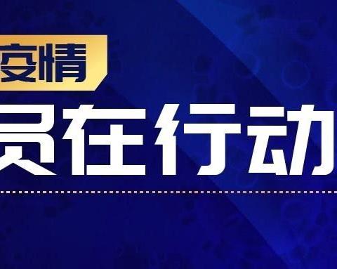 沙埔中心小学党支部开展“我是党员我先行”爱心捐款助战疫暨主题党日活动