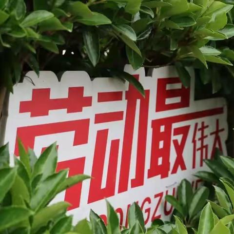 初夏收麦忙 引领促成长