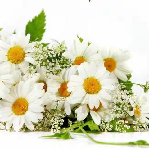 春光如许，聚势谋远——记无棣县初中英语名师工作室研讨活动