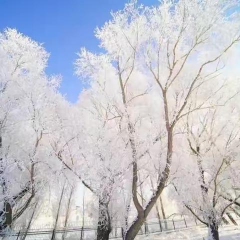 融集体智慧  磨精品课堂——县初中英语名师工作室打造精品课堂在行动