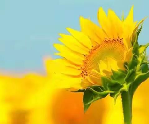 金秋踏歌迎君到，同教共研与君同！