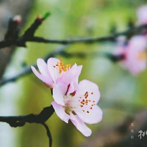 开篇布局谋发展 凝心聚力绘新篇——记无棣县初中英语毕业研讨会