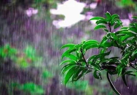 聚势谋远 奋楫扬帆——记无棣县初中英语教研组“红色教师打造工程”暑期研修