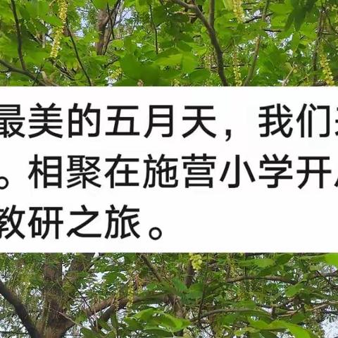 众人拾柴火焰高 集智备课进步快