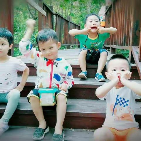 春行儋阳楼森林公园