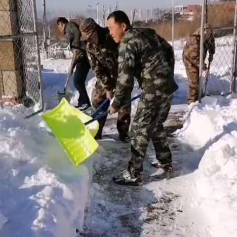 汗水融冰雪 真情暖林场——紫荆山林场扫雪进行时