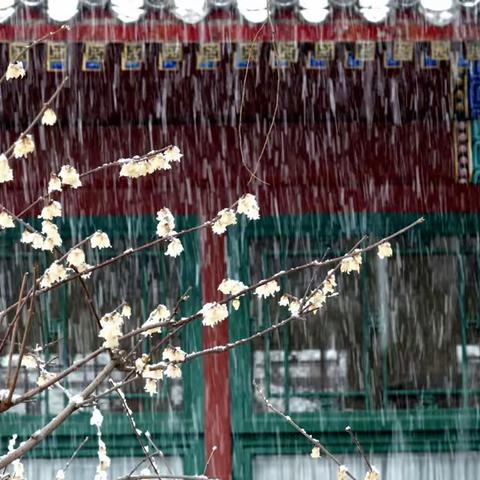 春雪——第一辑