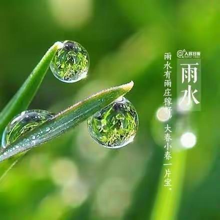 二十四节气雨水