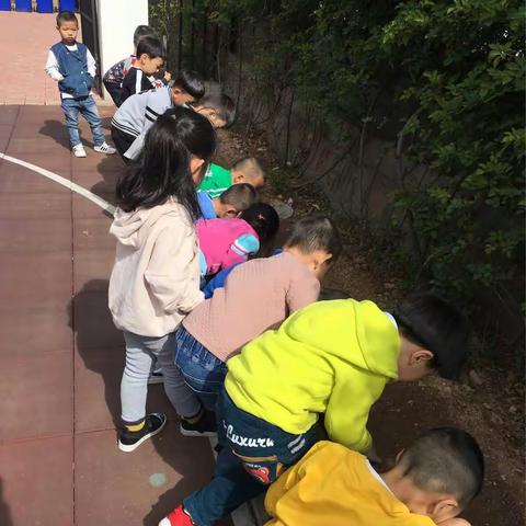 小苗长成日记——白小中一班