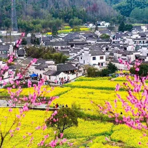 语文课堂展风采 听课活动促成长——泰山区温泉路小学毕业班教学研讨暨语文质量提升课