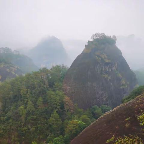 武夷山游记(一)一线天~虎啸岩~玉女峰