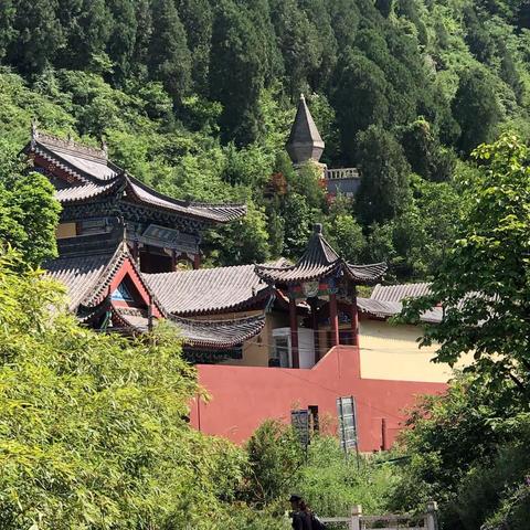 相约紫荆 满志山行——西咸沣西新城大王东小学长安南五台研学旅行活动