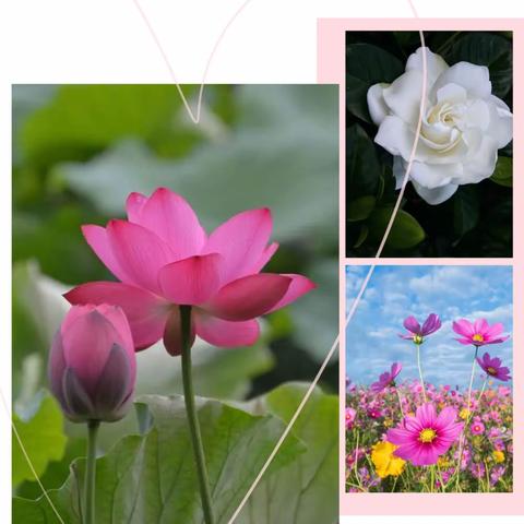 躬耕教坛  强国有我——2023年暑期教师全员培训进行时