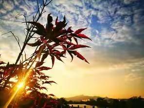 秋日里不仅有暖阳，还有我们在一起