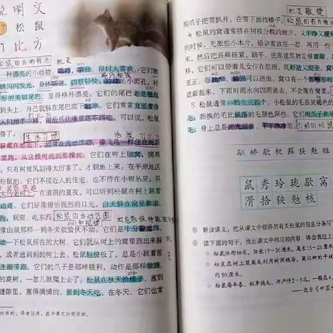 沧县实验学校 班主任赵婷老师   五年级（6）班共战疫情线上教学精益求精上网课