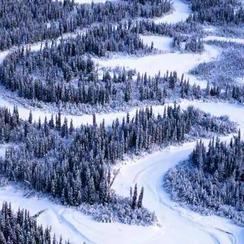 在这里也可以看见美丽的风景