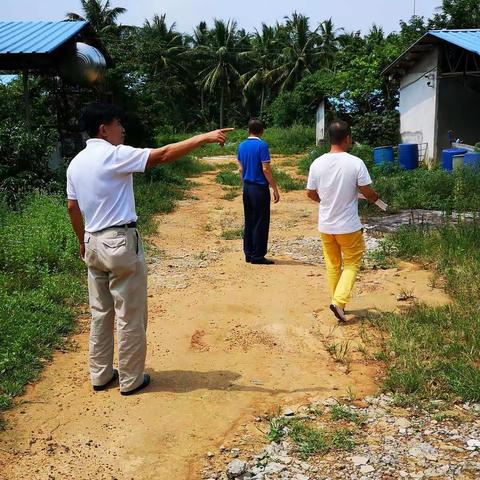 新合村宣传非洲猪瘟防控工作